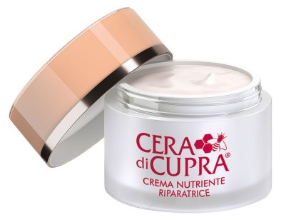 Beauty Recipe Nourishing and Reparing Cream i gruppen Ansikte & Hudvrd / Ansiktskrm  hos UnderCclub AB (CDP-0573E50)