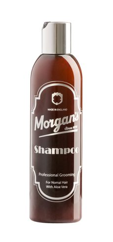 Mens Shampoo 250ml Bottle i gruppen Hrvrd / Hrschampo hos UnderCclub AB (MP-M044)