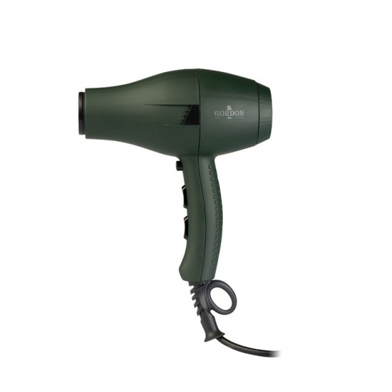 Professional Hair Dryer
