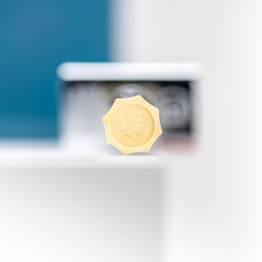 Progress Safety Razor with long handle