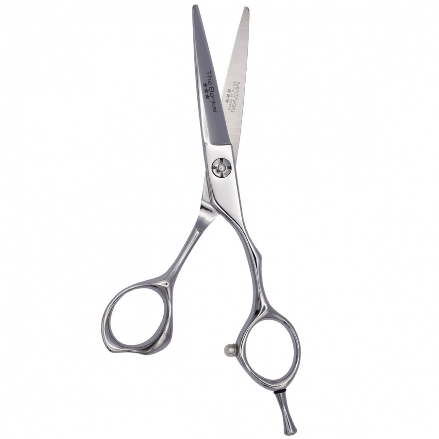 Bankai 5.5 Hairdressing Scissors - 440C Pro